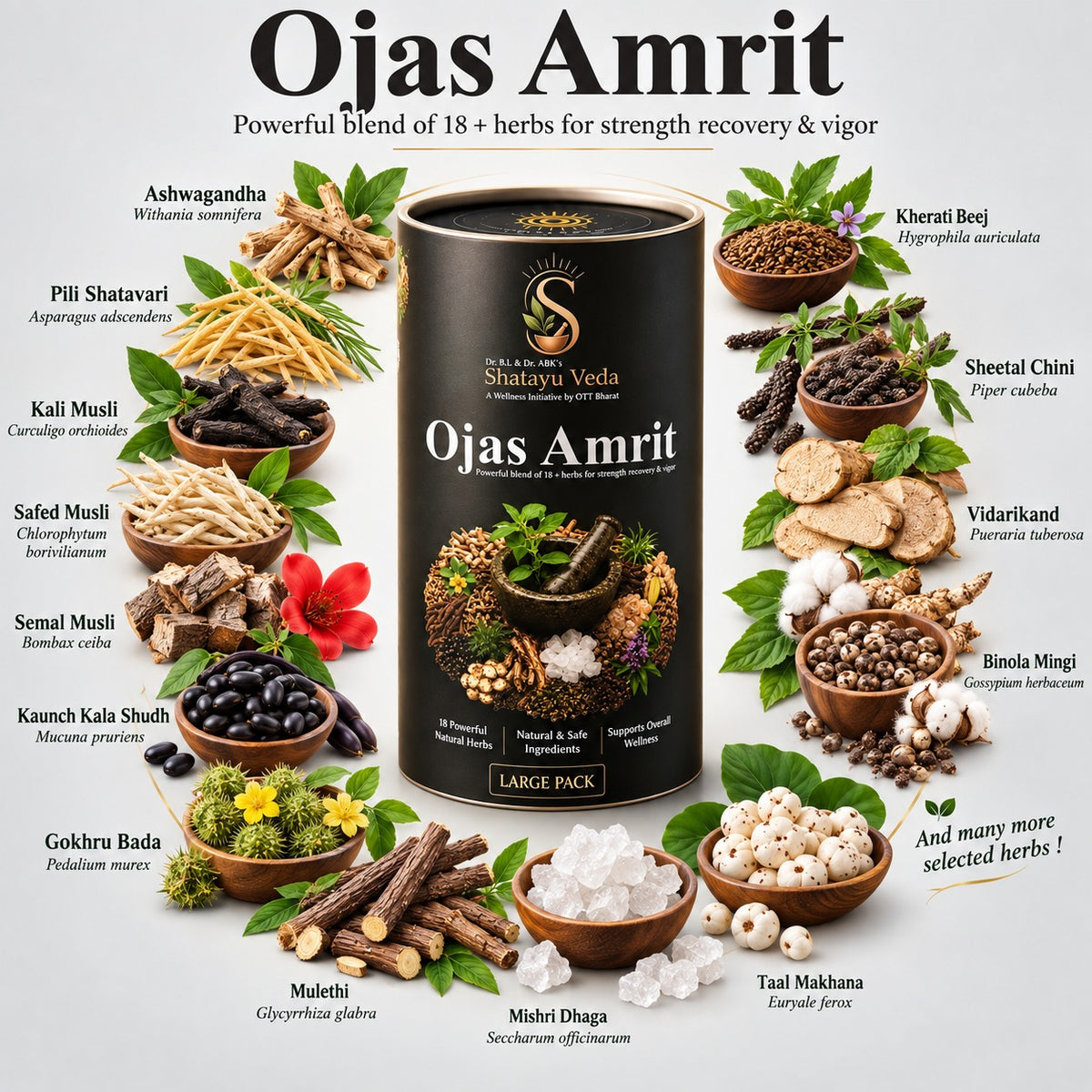 Ojas Amrit - Large Pack
